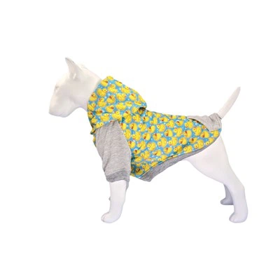 Koerte rõivaste disainer