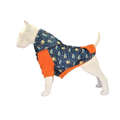 Koerte riided talveks