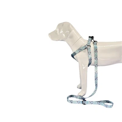 Koerarakmed suurtele koertele