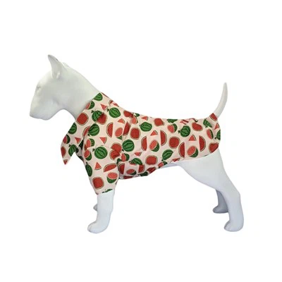 Koerasärgid väikestele koertele