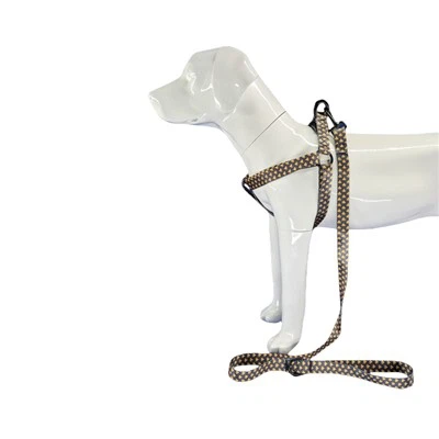 Põgenemiskindlad koerarakmed