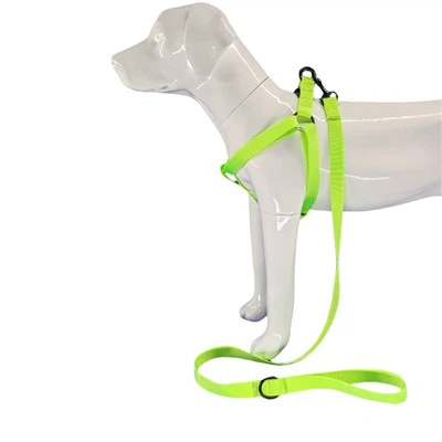 Sidruniroheline koerarakmed